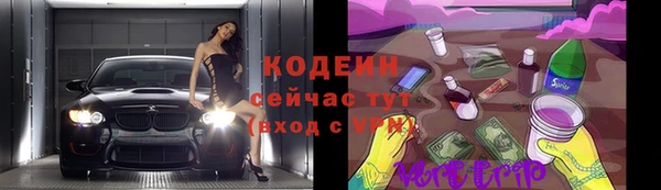 ECSTASY Болотное