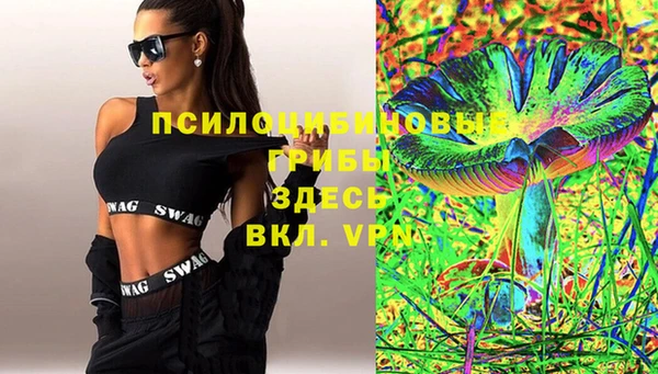 стафф Няндома
