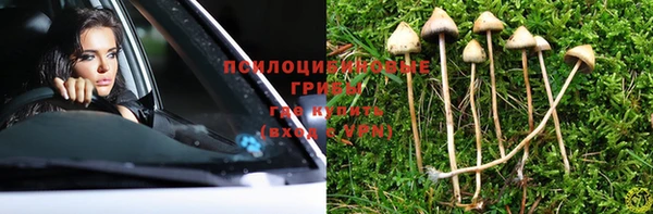 винт Болохово