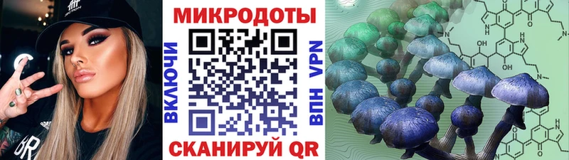 ссылка на мегу ONION  купить наркотики цена  Суоярви  Галлюциногенные грибы мицелий 
